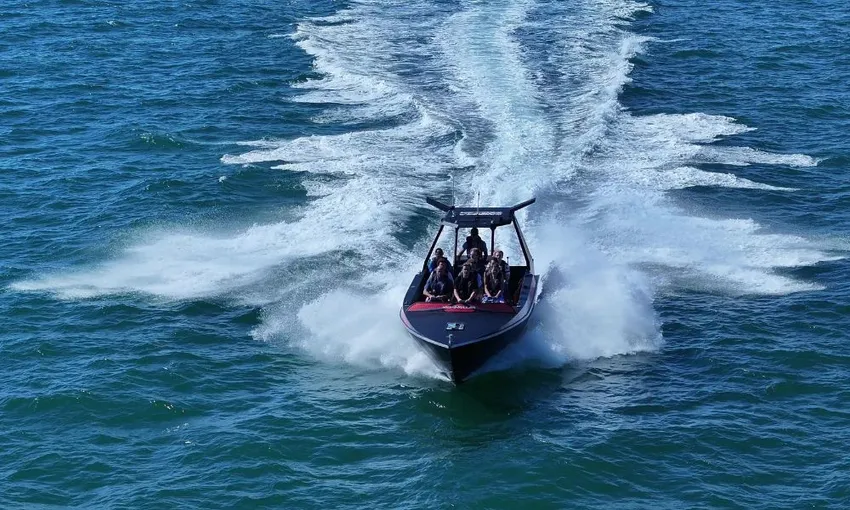 Noosa Thriller Whale Watch - 2 Hours | Book Now | Local Agent 