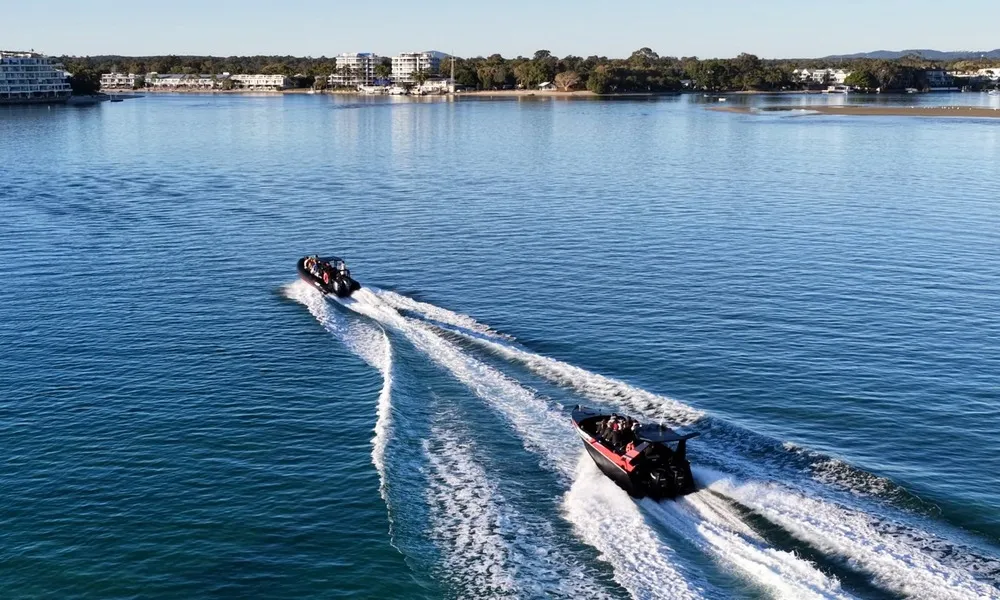 Noosa Thriller Whale Watch - 2 Hours | Book Now | Local Agent -8