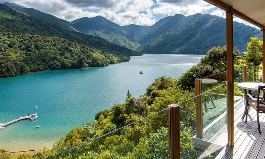 Marlborough Day in the Sounds Cruise - Book Now | Experience Oz
