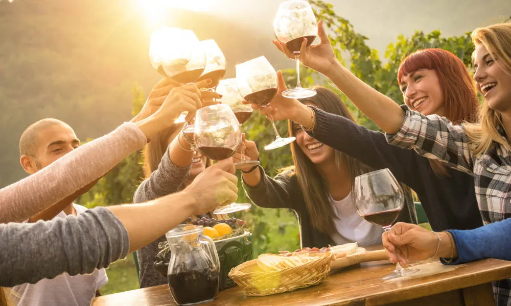 Melbourne Yarra Valley Winery Tour with Lunch - Book Now | Experience Oz-2