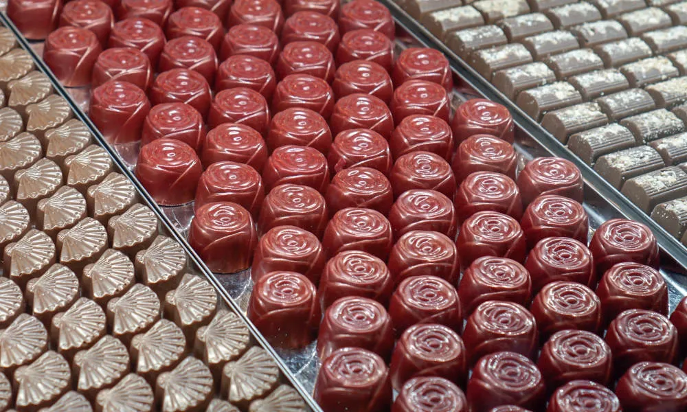 Melbourne Yarra Valley Winery Tour with Lunch - Book Now | Experience Oz-3