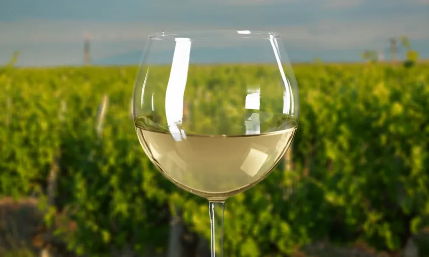 Melbourne Yarra Valley Winery Tour with Lunch - Book Now | Experience Oz