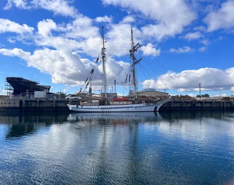 Dolphin & Maritime River Cruise, Port Adelaide - 2 Hours