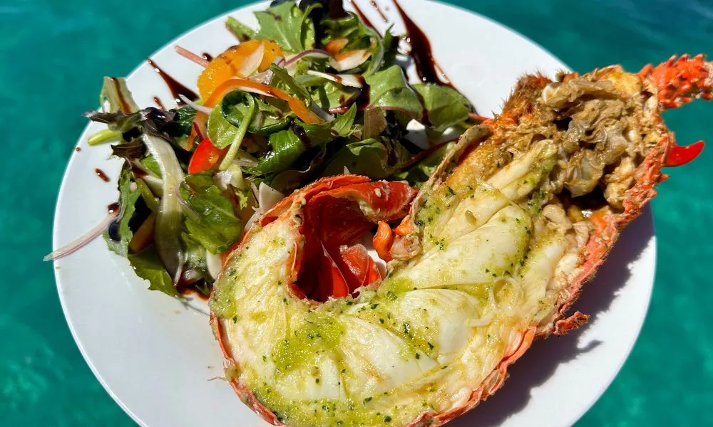 Mandurah Wild Seafood Cruise & Lunch - 3.5 hours | Experience Oz-4