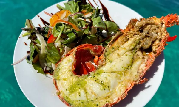Mandurah Wild Seafood Cruise with Lunch - 3.5 hours