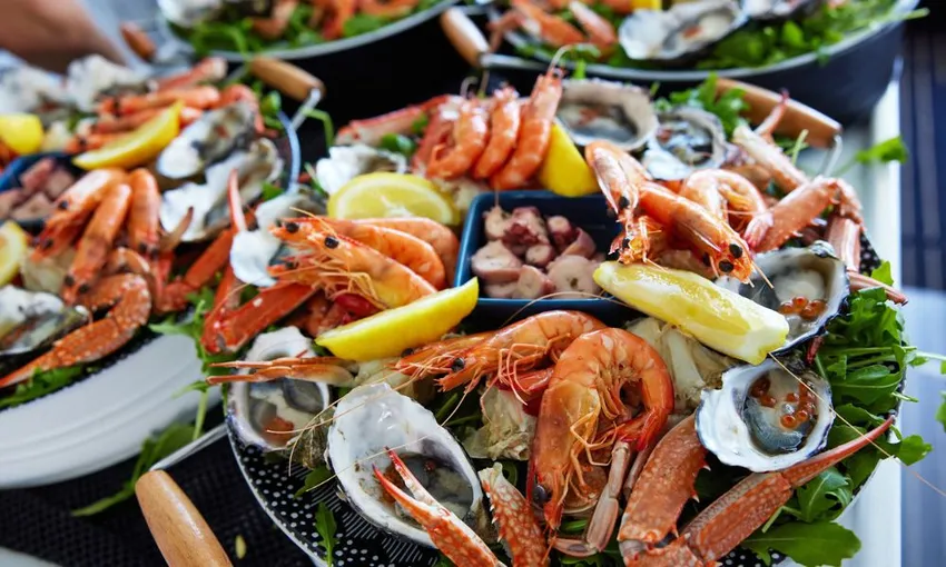 Mandurah Wild Seafood Cruise & Lunch - 3.5 hours | Experience Oz