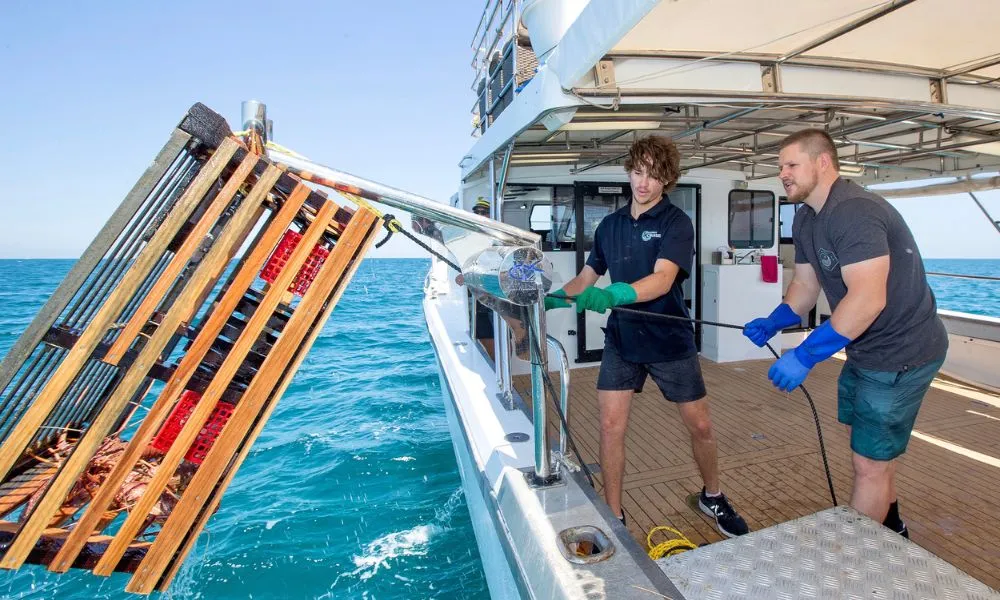 Mandurah Wild Seafood Cruise & Lunch - 3.5 hours | Experience Oz-6