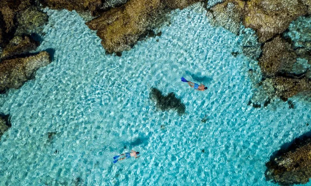 Rottnest Island Ferry and Bike Hire from Perth | Experience Oz-4