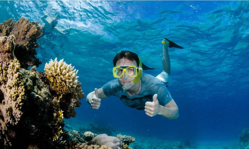 Outer Great Barrier Reef Guided Snorkelling-2