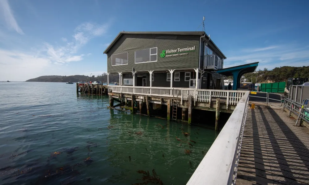 Stewart Island Wild Kiwi Encounter - Book Now | Experience Oz-3