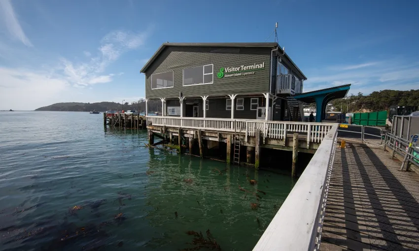 Stewart Island Wild Kiwi Encounter - Book Now | Experience Oz