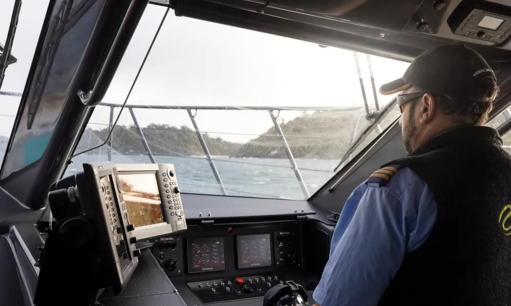 Stewart Island Wild Kiwi Encounter - Book Now | Experience Oz-4