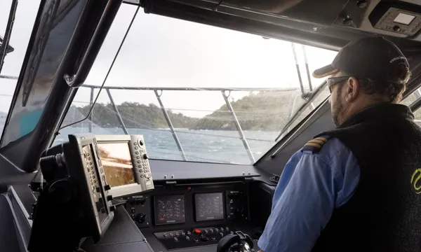 Stewart Island Wild Kiwi Encounter