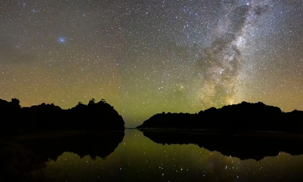 Stewart Island Wild Kiwi Encounter - Book Now | Experience Oz-5