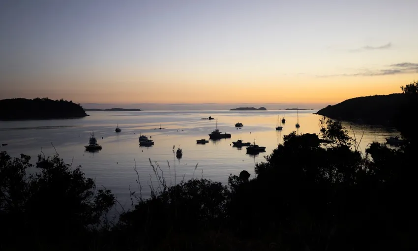 Stewart Island Wild Kiwi Encounter - Book Now | Experience Oz