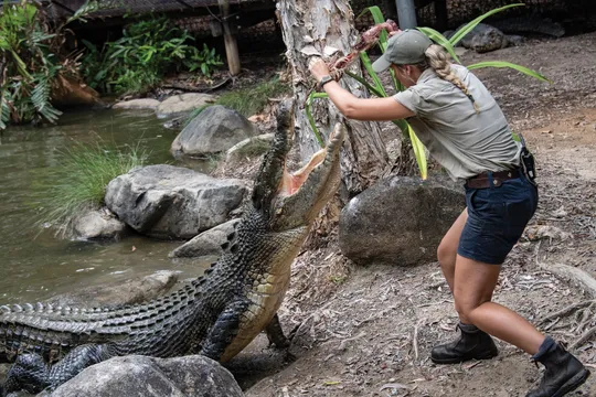 Hartleys Crocodile Adventures