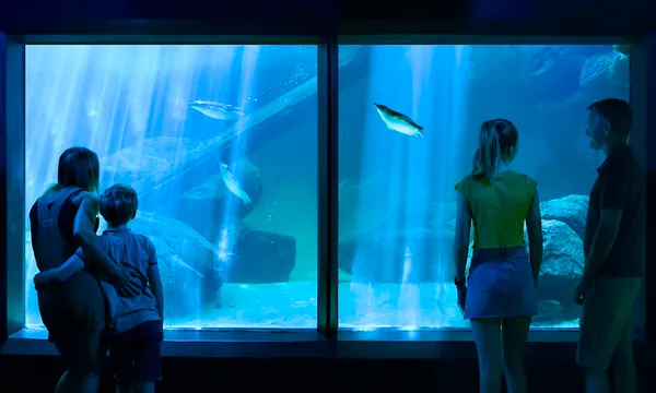 SEA LIFE Sunshine Coast