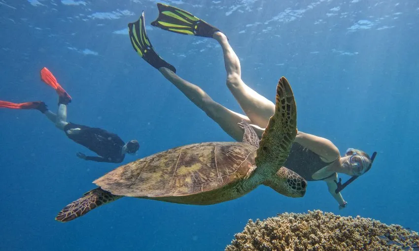 Great Barrier Reef AquaQuest Day Trip - Book Now | Experience Oz