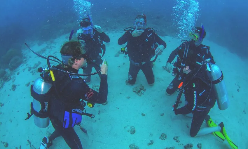 Great Barrier Reef AquaQuest Day Trip - Book Now | Experience Oz