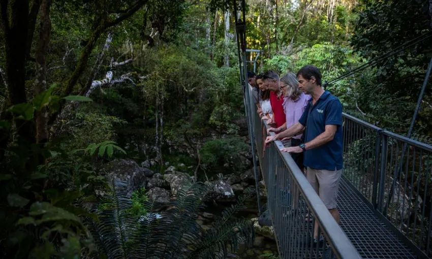 Southern Daintree Explorer Half Day Tour - Book Now | Experience Oz 