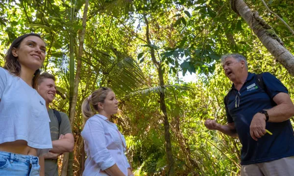 Southern Daintree Explorer Half Day Tour
