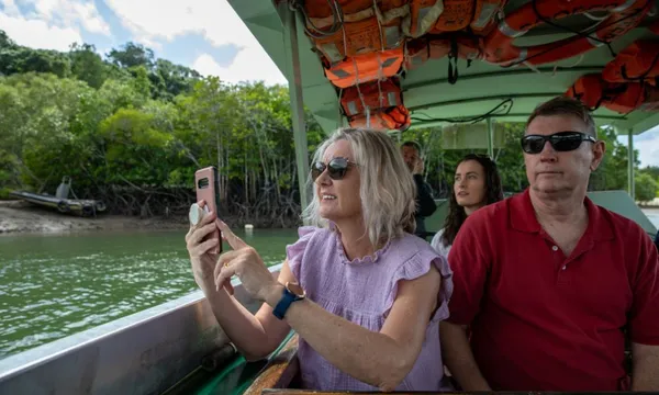 Southern Daintree Explorer Half Day Tour