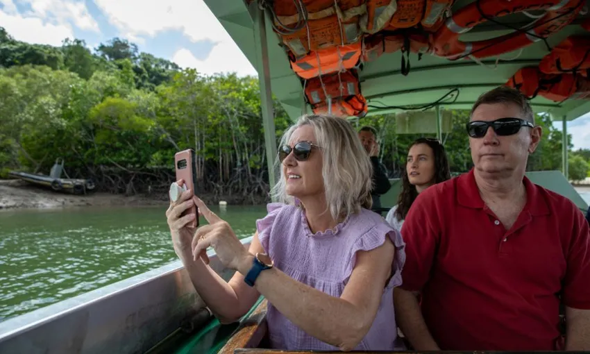 Southern Daintree Explorer Half Day Tour - Book Now | Experience Oz 