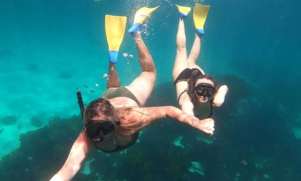 Rottnest island Snorkel & Sail Tour | Experience Oz-5