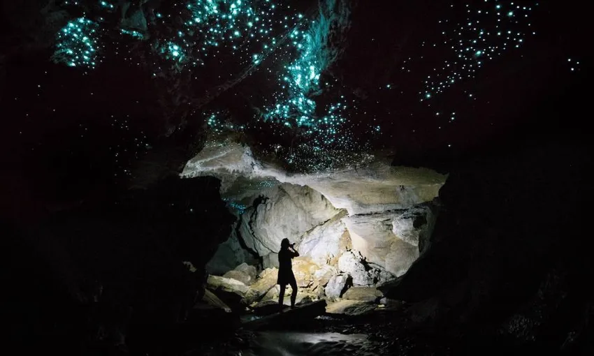 Waitomo Guided Glow Worm Cave Tour - 3 Hours | Experience Oz + NZ