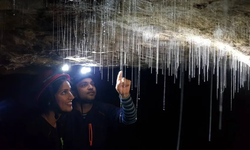 Waitomo Guided Glow Worm Cave Tour - 3 Hours | Experience Oz + NZ