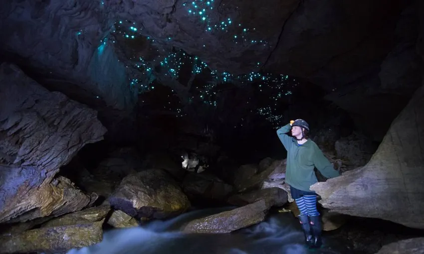 Waitomo Guided Glow Worm Cave Tour - 3 Hours | Experience Oz + NZ