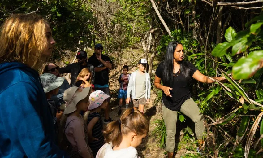 Cape Byron Guided Aboriginal Tour | Book Now | Experience OZ