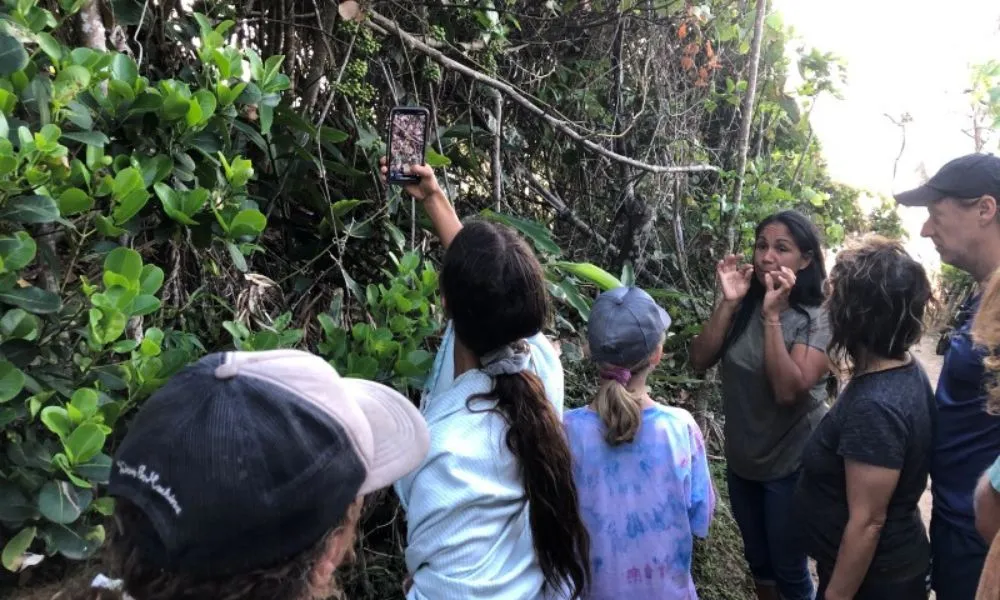 Broken Head Guided Aboriginal Tour | Book Now | Experience OZ-6