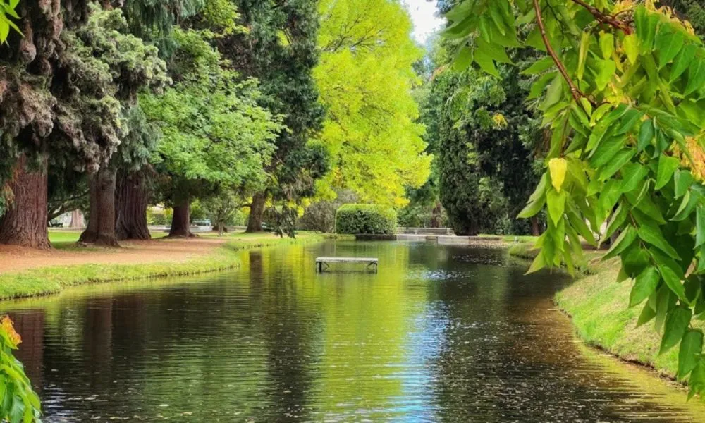 Russell Falls and Mt Field National Park Day Tour | Experience Oz-3