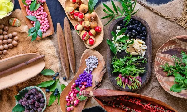 Bangalow Bush Tucker Guided Aboriginal Tour - 1.5 Hours