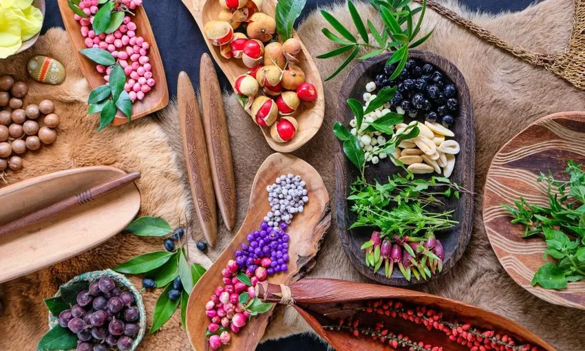Bangalow Bush Tucker Guided Aboriginal Tour | Experience OZ