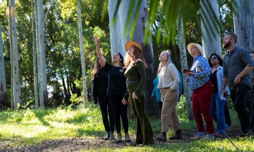 Bangalow Bush Tucker Guided Aboriginal Tour | Experience OZ-2