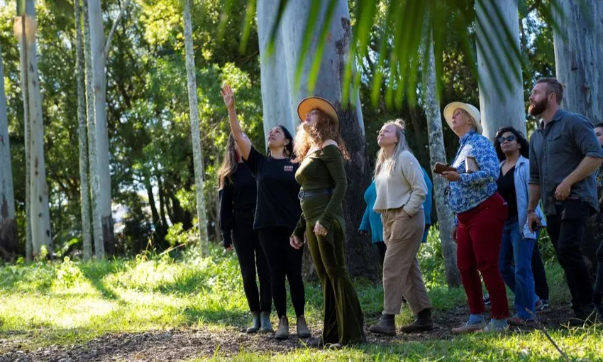 Bangalow Bush Tucker Guided Aboriginal Tour | Experience OZ