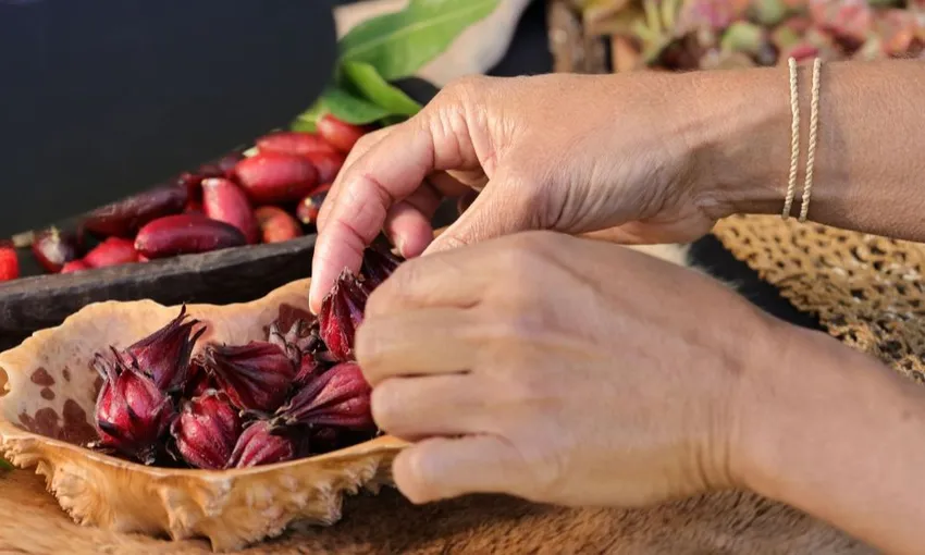 Bangalow Bush Tucker Guided Aboriginal Tour | Experience OZ