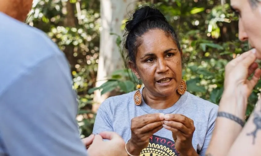 Bangalow Bush Tucker Guided Aboriginal Tour | Experience OZ