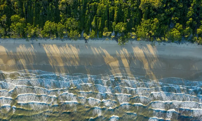 Beauty Valley Waterfall Walk, Magical Swim, Heavenly Lunch and Daintree River Cruise | Experience Oz