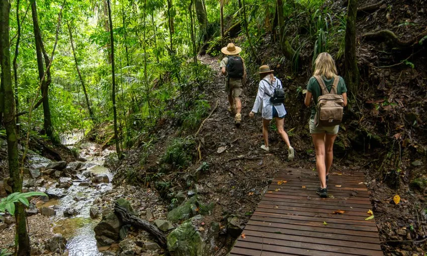 Beauty Valley Waterfall Walk, Magical Swim, Heavenly Lunch and Daintree River Cruise | Experience Oz