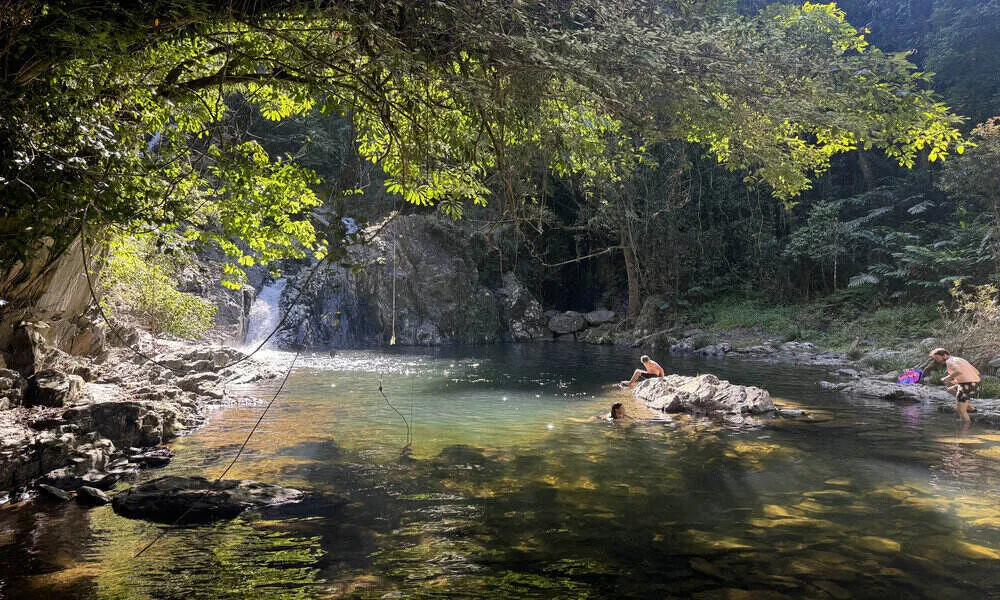 Daintree Waterfall Walk, Swim, Lunch and optional Daintree River Cruise | Experience Oz-2