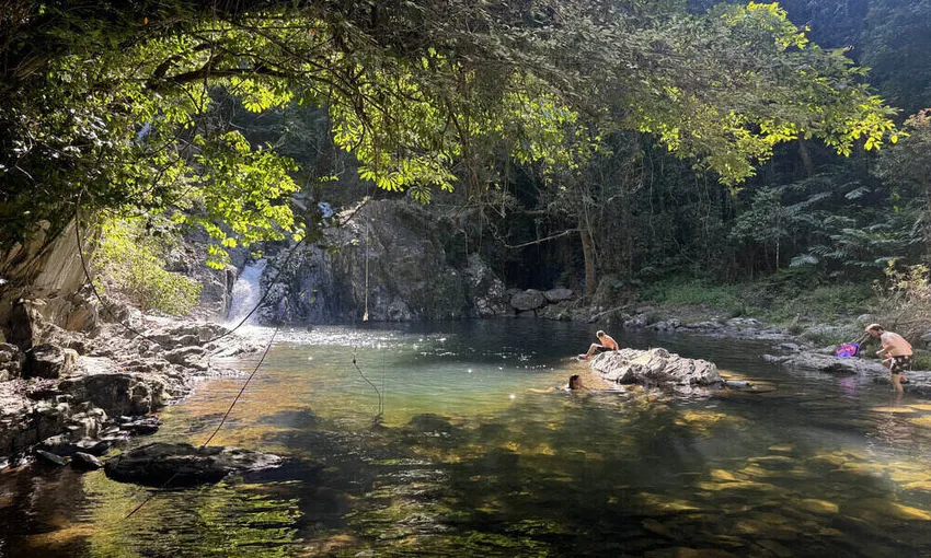 Beauty Valley Waterfall Walk, Magical Swim, Heavenly Lunch and Daintree River Cruise | Experience Oz