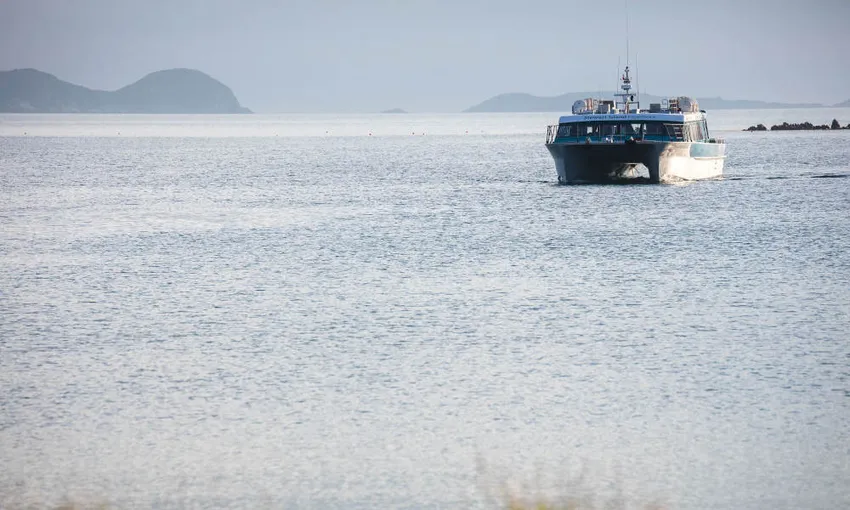 Stewart Island Ferry from Bluff to Stewart Island - Book Now | Experience Oz
