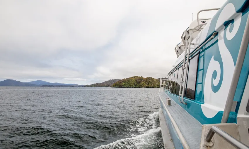 Stewart Island Ferry from Stewart Island to Bluff - Book Now | Experience Oz