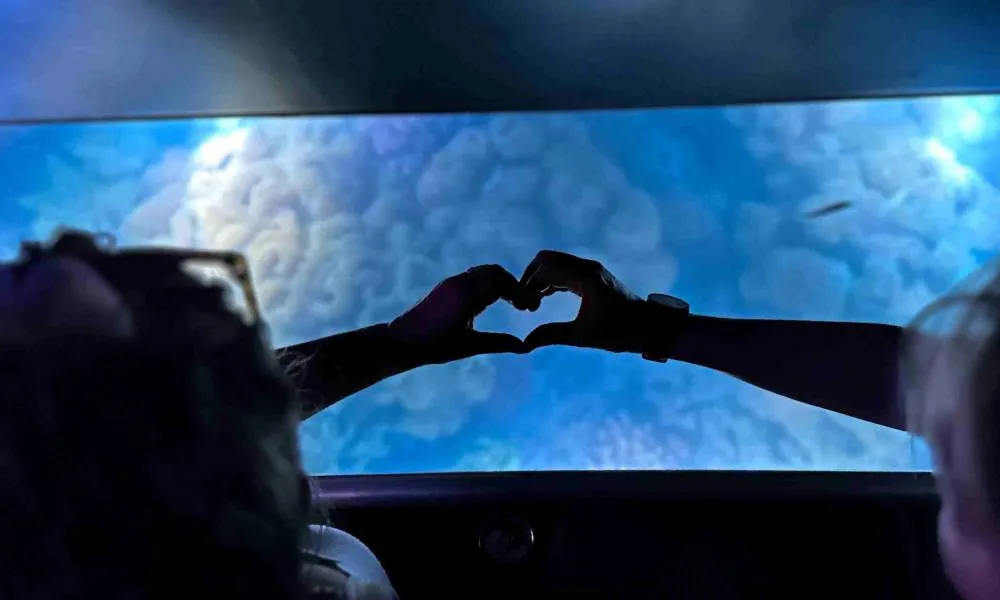 Airlie Beach Glass Bottom Boat Night Tour | Experience Oz-2