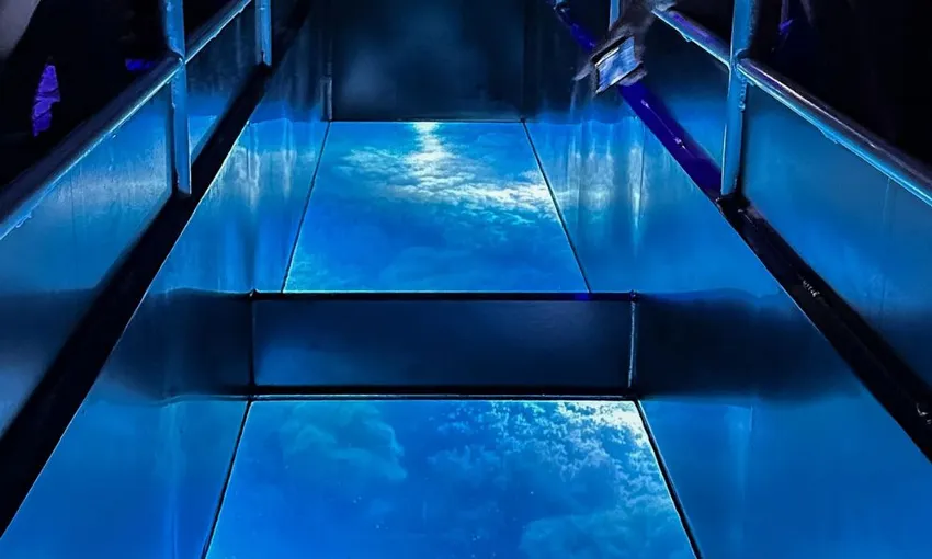 Airlie Beach Glass Bottom Boat Night Tour | Experience Oz