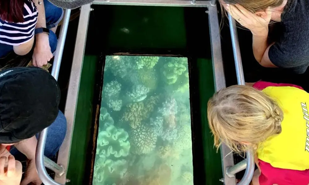 Airlie Beach Glass Bottom Boat Sunset Tour | Experience Oz-2