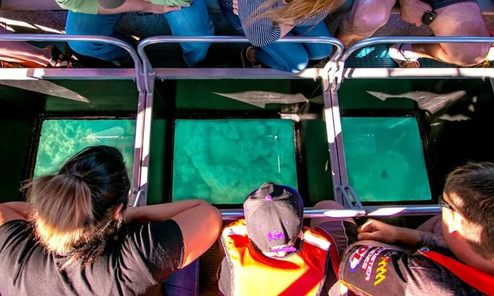 Airlie Beach Glass Bottom Boat Sunset Tour | Experience Oz-3